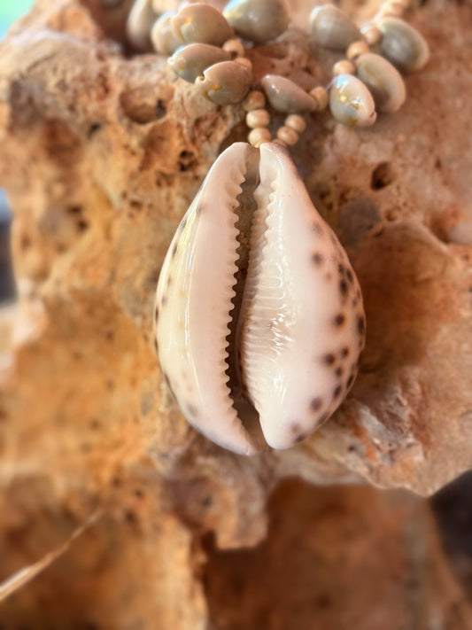 COLLAR PLAYA GRANDE ARENA