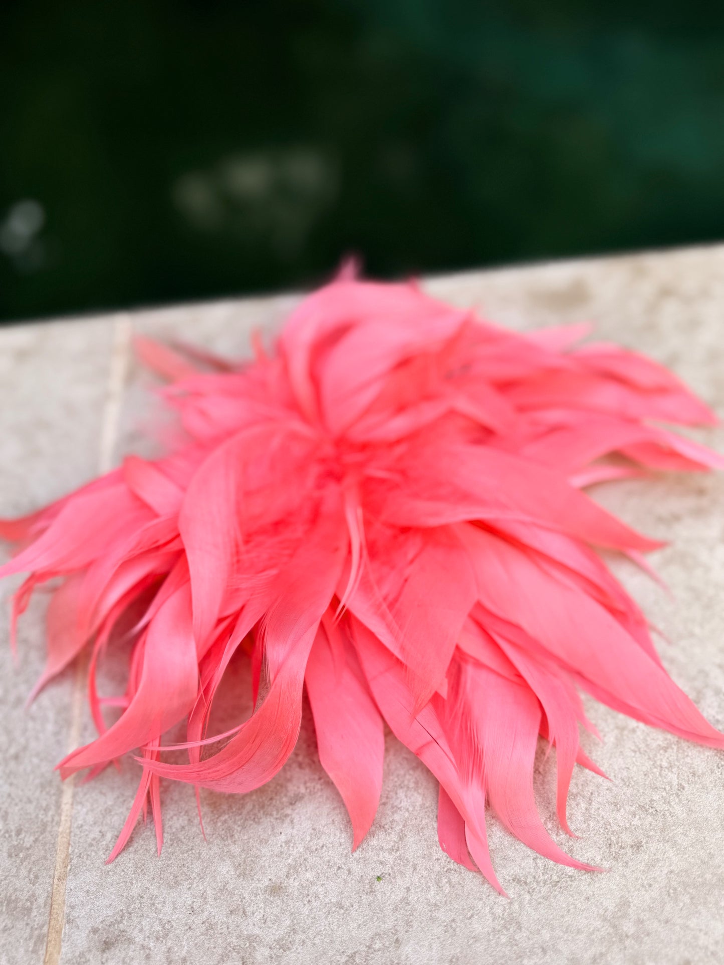 FLORES PLUMA MULTICOLOR