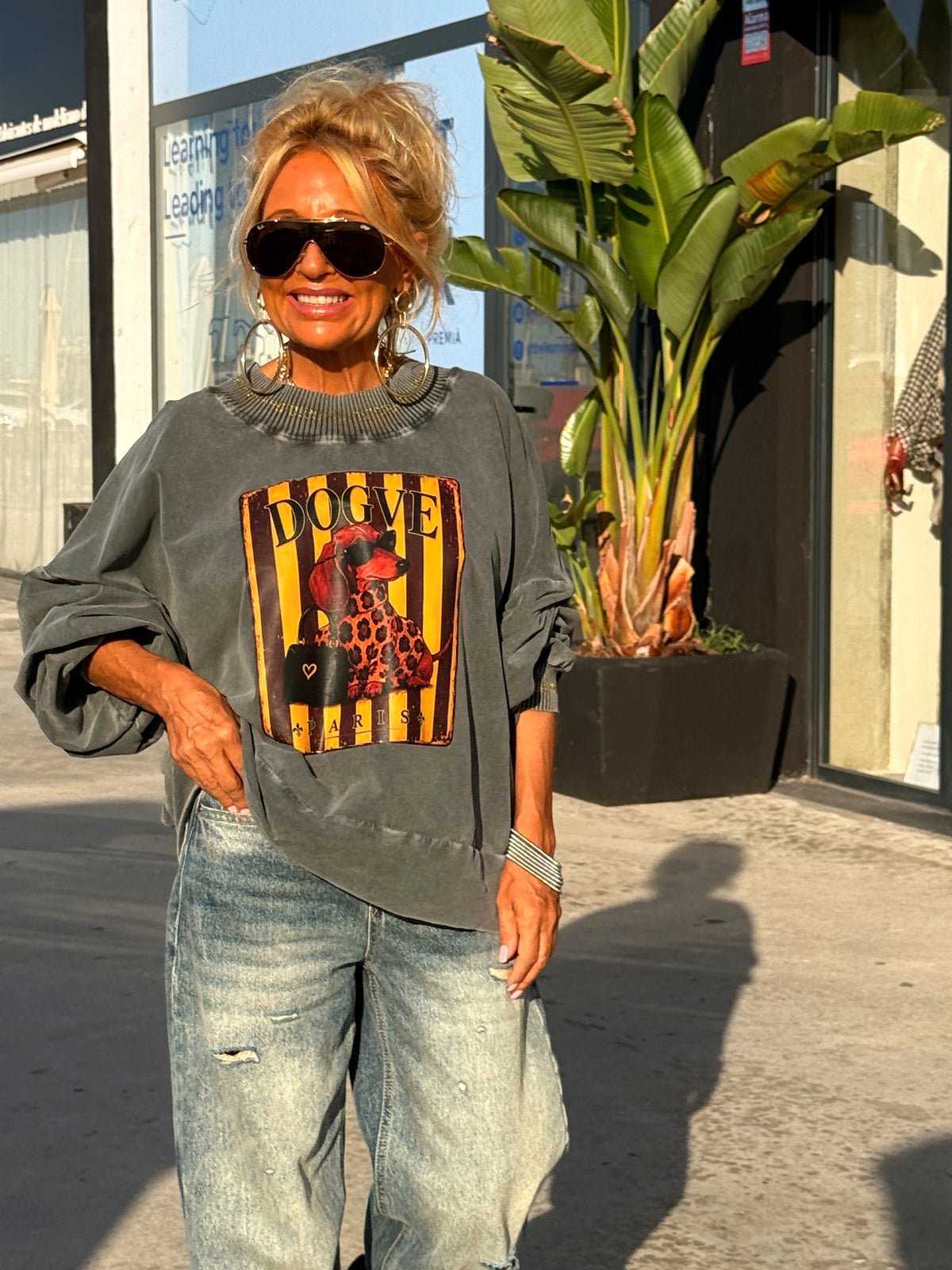 SUDADERA TECKEL GRIS