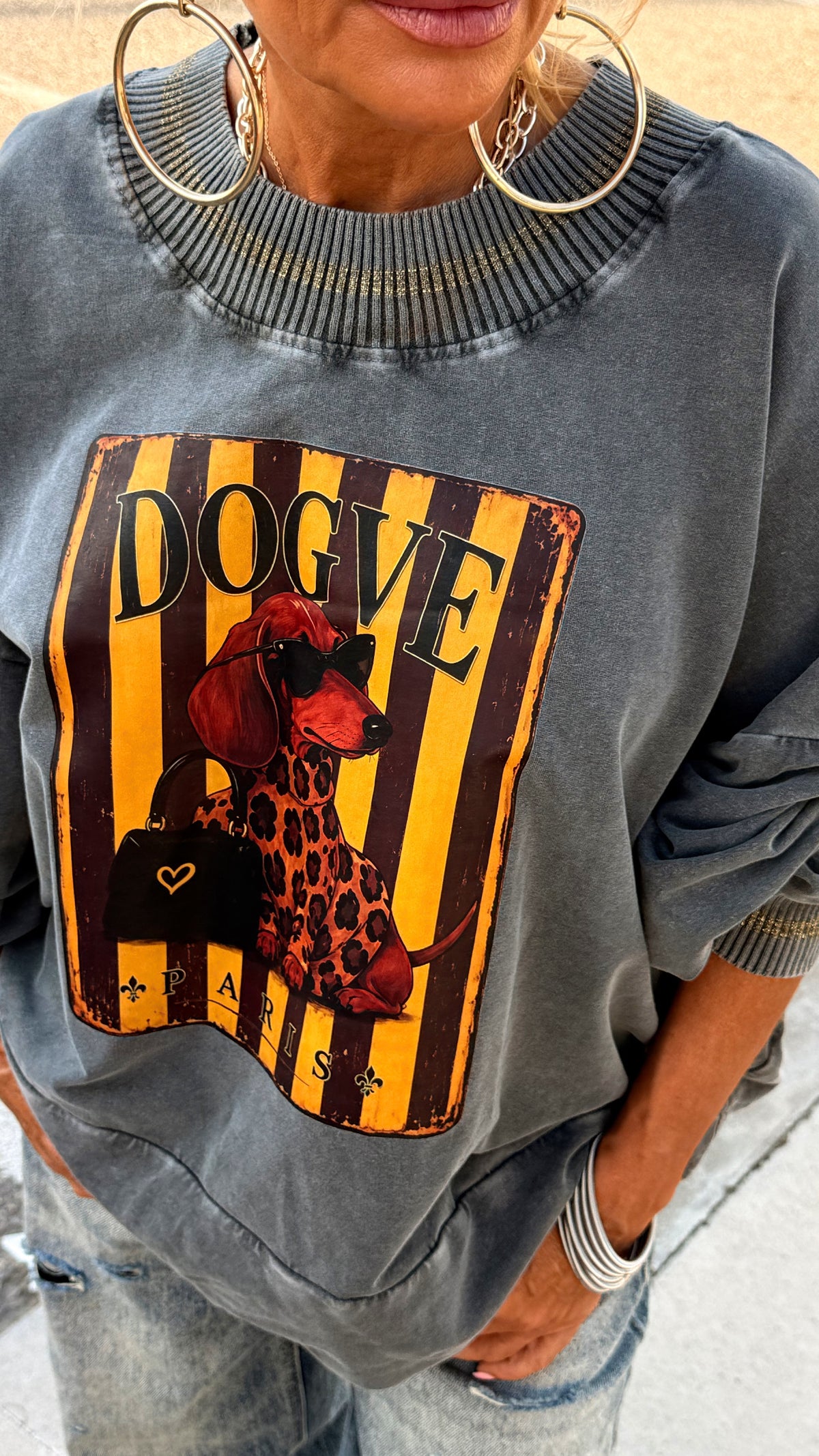 SUDADERA TECKEL GRIS